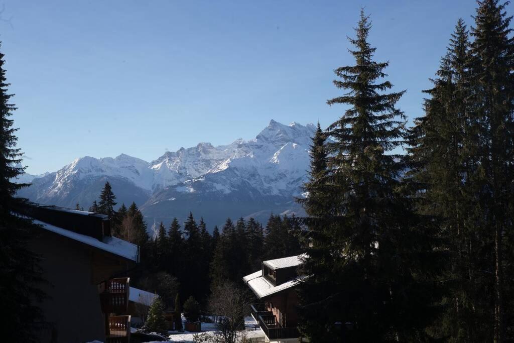 Route De La Residence Villars-sur-Ollon Dış mekan fotoğraf
