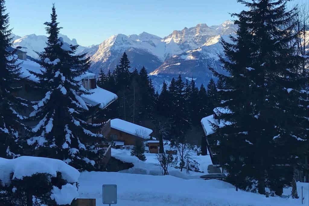 Route De La Residence Villars-sur-Ollon Dış mekan fotoğraf